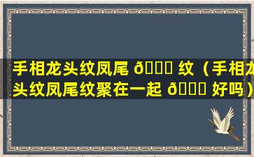 手相龙头纹凤尾 🐋 纹（手相龙头纹凤尾纹聚在一起 🐝 好吗）